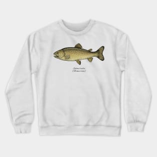 Salmo Trutta Crewneck Sweatshirt